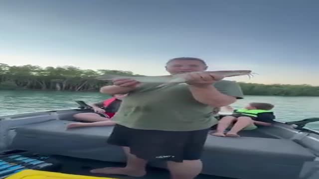 독수리한테 갓 잡은 물고기 삥뜯김. - 관련 글 썸네일