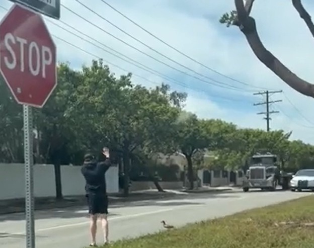 오리 가족 - 관련 글 썸네일