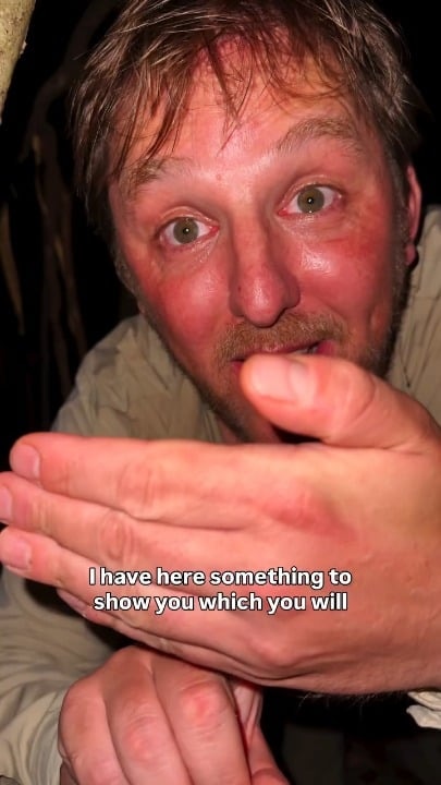 2024년 신종 카멜레온 'Brookesia Nofy' ㄷㄷ - 관련 글 썸네일