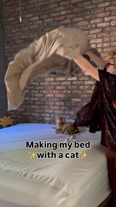 침대 정리 도와주는 냥이, 멍 때리는 중 ㅋㅋㅋ - 관련 글 썸네일