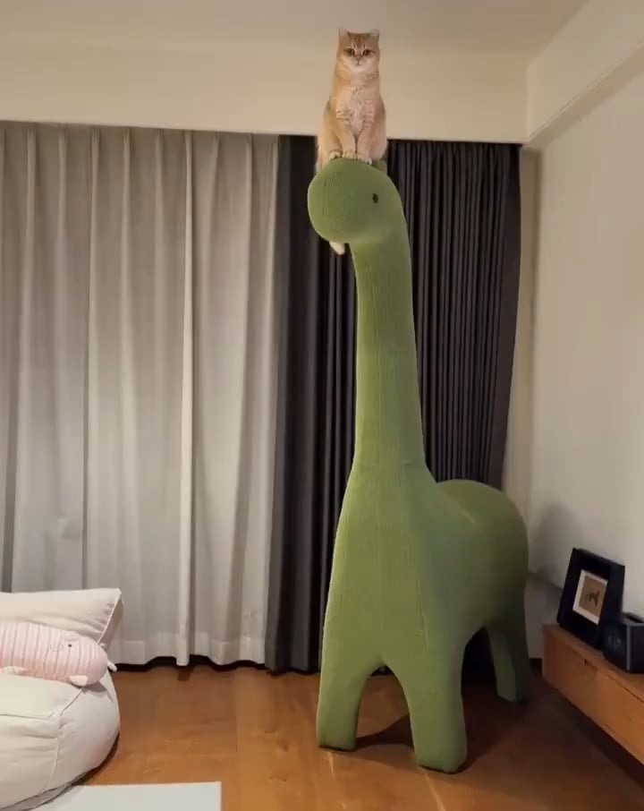 집안 서열 1위 냥님 강림 - 관련 글 썸네일