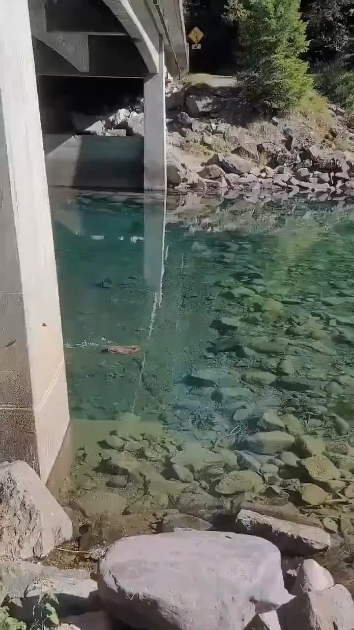 자연이 만든 최고의 건축가 등장! - 관련 글 썸네일