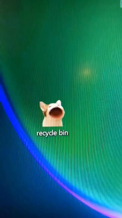 고양이 짤 뭐임 ㅋㅋㅋ - 관련 글 썸네일