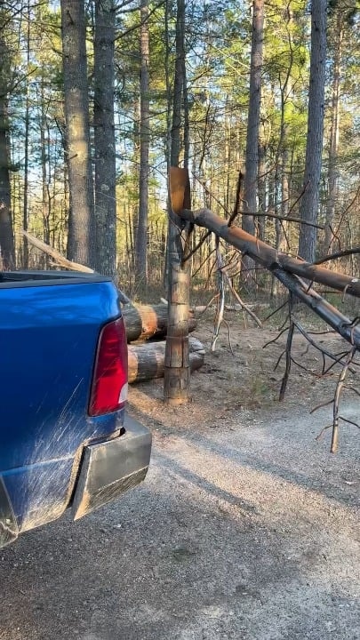 나무인 줄 알았는데 문이었네? ㄷㄷ - 관련 글 썸네일