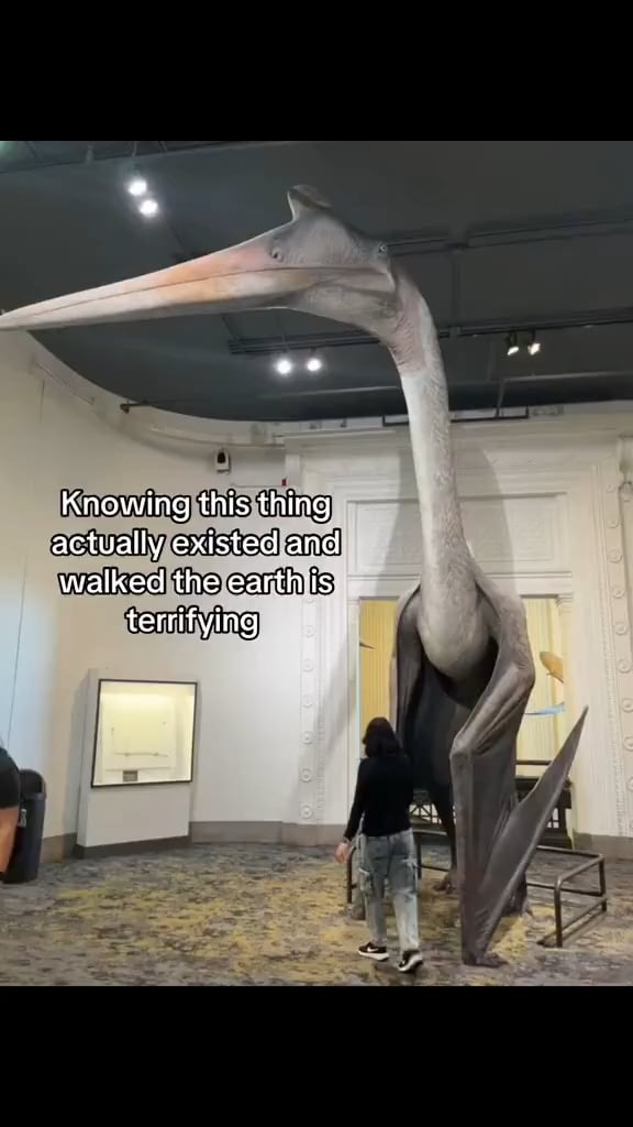 날아다니는 공룡 크기 실화냐? ㄷㄷ - 해외 인기글 썸네일