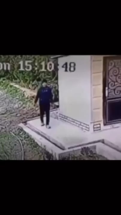 격투기 선수 vs 맹견, 누가 이길까? - 관련 글 썸네일