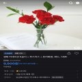 [토스] 생화 카네이션 5송이 + 생화 루스커스 2대 + 유리화병 1세트 (9900원/무배)