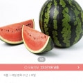 [오늘의집]고당도 하우스 수박 4~5kg (10,575원/무료)