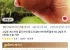 코인딜 제스프리 골드키위점보 15과 2.3kg내외