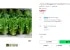 산지직송 로메인 2kg