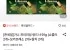 가나 프리미엄 랑드샤 91g (쇼콜라 2개+모카프레소 2개+말차 2개)