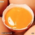 [네이버] 난각번호1번 유정란 20구 / 사세 매콤 점보 닭다리 1.3kg / 1.3cm 목살 500g 구이용 / 구운 노르웨이 순살 고등어 5편 / 한끼통살 주먹밥 100g 10개 / ...