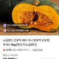[네이버]뉴질랜드 단호박 2KG (3,990원/네멤무)