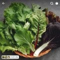 [토스] 유기농쌈채소 1kg / 애슐리 크리스피 포테이토 핫도그 8개 / 만토바 엑스트라 버진 올리브유 1L /  에어프라이어 5L / 해태과자선물세트