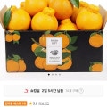 11번가)제주 한라봉 13브릭스 4.5kg  가정용 혼합과(16,580원/무료)