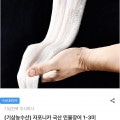 [남도장터]국내산 자포니카 민물 장어 1KG (손질 후 700g 1~3미) (15,960원/무료)