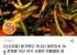 국내산 열무김치 3kg