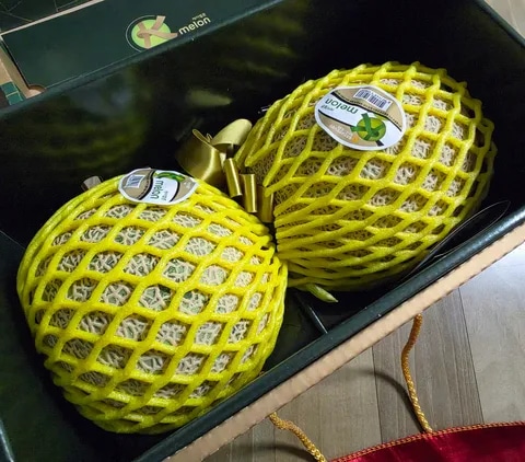 추석선물용 프리미엄 머스크멜론 4kg 2수 (27,500무배)