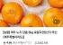 제주 노지 감귤 로얄과 5kg